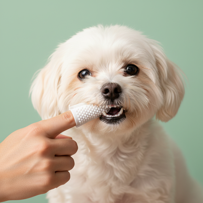 KinPaws 2-in-1 Silicone Finger Brush